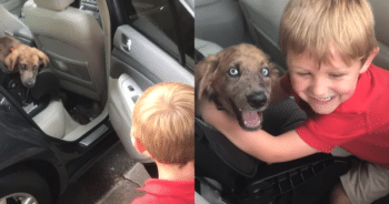 Dad Gives Son a Puppy, and His Reaction Is Everything