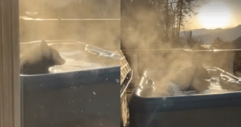 Man’s Backyard Turns Into a Bear Spa With Jacuzzi Surprise