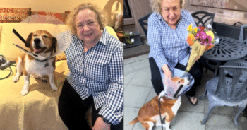 Elderly Neighbor’s Thoughtful Surprise for Dog Mom After Surgery