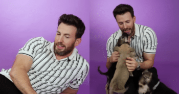 Chris Evans Gets Candid About Adopting Dog Dodger: ‘Best Decision of My Life’