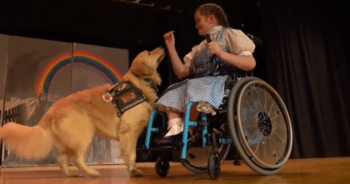 Student and Her Service Dog Create Magic as Dorothy and Toto in Wizard of Oz