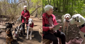 Senior Hiker Meets Great Dane on a Mission to Brighten Her Day