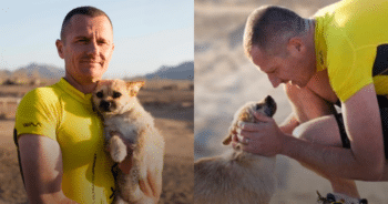 Dog Joins Ultramarathon and Runs Her Way Into a Loving Family’s Heart