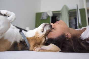 15 Signs Your Dog Loves You More Than Treats