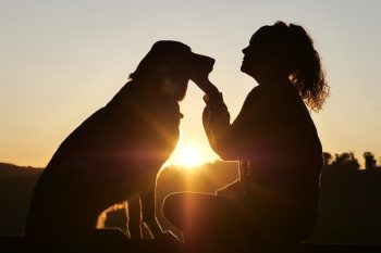 Top 11 Reasons Dogs Are The Ultimate Best Friends For Life