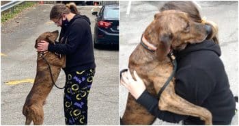 Shelter Dog Ran To Girl Having An Anxiety Attack And Knew What To Do