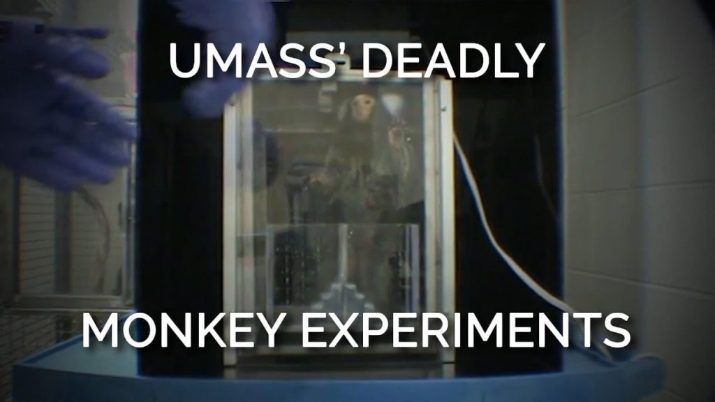 PETA Scientists Accept “Invitation” to Tour UMass Amherst Monkey Laboratory