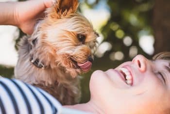 11 Touching Ways Your Dog Quietly Says “I Love You” Every Day