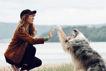 Top 7 Dog Breeds Who Bring Out The Best In Their Humans