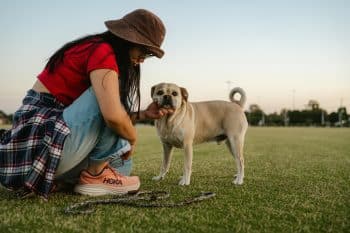 15 Reasons Your Dog Will Always Be Your Best Decision