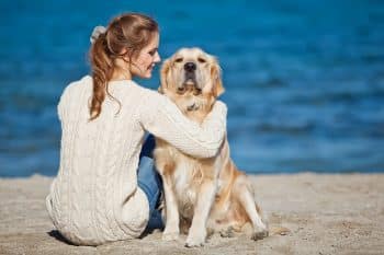 Top 7 Dog Breeds That Will Be Your Best Friend Forever