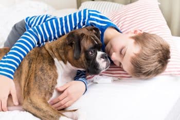 Ultimate 11 Dog Breeds That Create Unforgettable Bonds With Kids