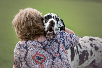 Ultimate 15 Dog Breeds That Feel Like Living, Breathing Hugs