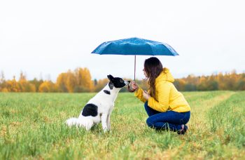 15 Unstoppable Ways Dogs Bring Joy to Even the Darkest Days