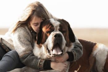 11 Dog Breeds That Have The Biggest, Most Loving Hearts