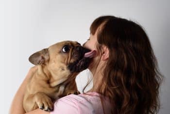 Top 13 Ways Dogs Show Gratitude Without Saying a Word