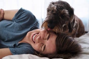 Top 11 Ways Dogs Show Gratitude Through Small Gestures