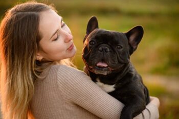 Top 7 Dog Breeds That Bring Warmth and Joy Wherever They Go