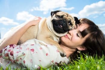 11 Dog Breeds That Are Born To Be The Ultimate Snuggle Buddies