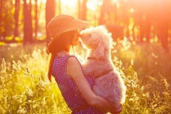 Top 9 Signs Your Dog Relies on You More Than You Realize