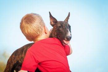 15 Dog Breeds That Are Surprisingly Great with Kids