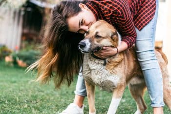 15 Ways Your Dog Can Improve Your Mental Health