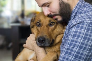 Top 15 Reasons Dogs Will Always Be Our Most Loyal Friends