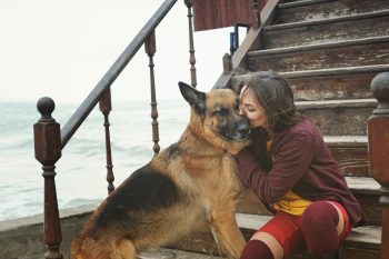 Ultimate 7 Dog Breeds That Will Always Stay By Your Side