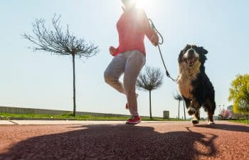 13 Ways Your Dog Turns Mornings Into a Tail-Spinning Delight