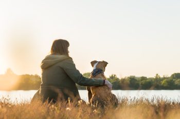 Top 9 Ways Dogs Turn Everyday Life Into A Heartwarming Adventure