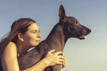 15 Ways Dogs Show Us the Power of Unconditional Love