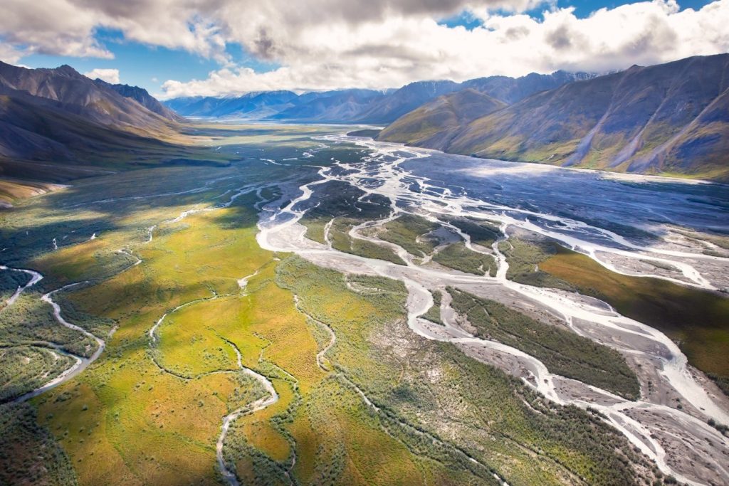 Oil Companies Reject Arctic National Wildlife Refuge Lease Sale— A Victory for Wildlife Conservation, Indigenous Rights & the Planet