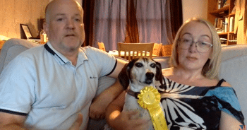 Missing Dog Returns Home… But Where Did She Get That Dog Show Ribbon?!
