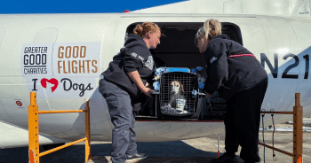 When Disaster Strikes, iHeartDogs Steps Up To Save Vulnerable Pets