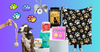 Giveaway: Win A Tailr Pet Tag Plus iHeartDogs Goodies For You & Your Pup!