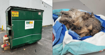 Muffled Noise from Dumpster Leads Tennessee Rescuers to an Unbelievable Find