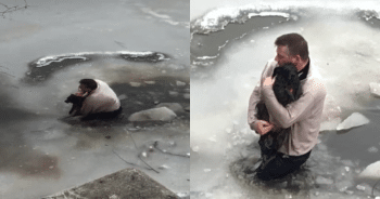 Man Sees Dog Struggling in Icy Water and Instantly Leaps Into Action
