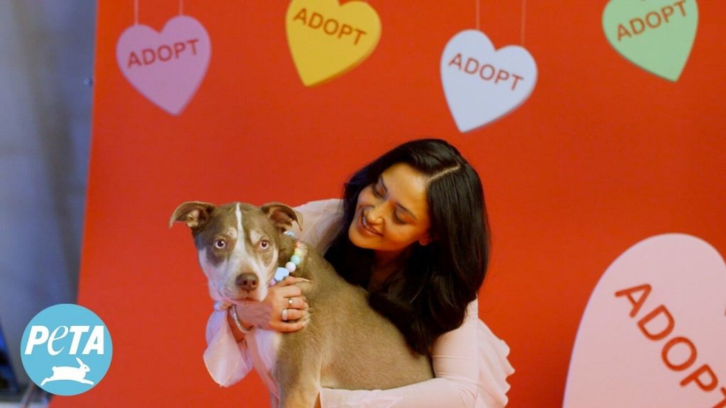 VIDEO: ‘Love Island USA’ Superstar Leah Kateb and Her Bestie Blue ‘Couple Up’ With PETA in Sweet V-Day Adoption Campaign