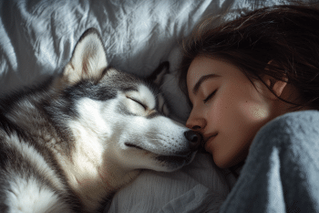 11 Weird Things Your Dog Does When They Secretly Love You