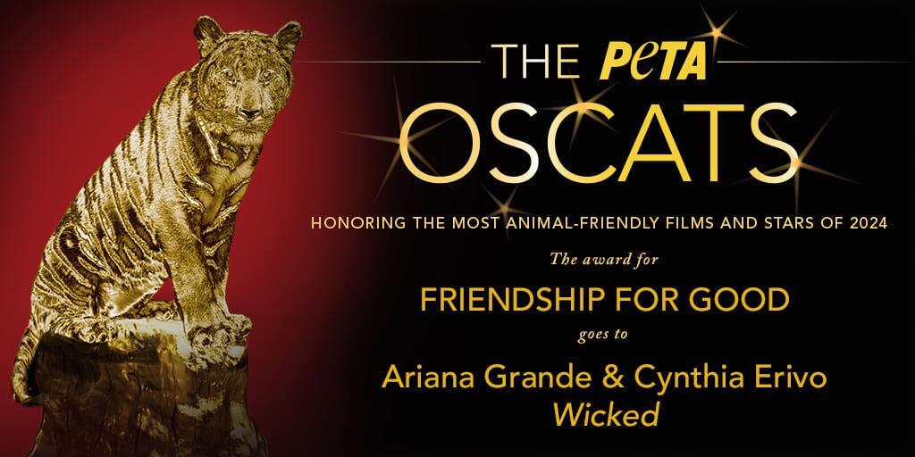 Take a ‘Meow!’ PETA’s 2024 Oscat Award-Winners Took Animal-Friendly Filmmaking to New Heights