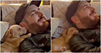 New Puppy ‘Thanks’ Dad For Choosing Him Then Drifts-Off To Sleep