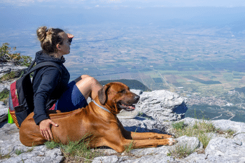 15 Ultimate Adventure Dog Breeds For People Who Love The Outdoors