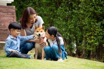 9 Ultimate Guard Dog Breeds That Are Surprisingly Gentle With Family