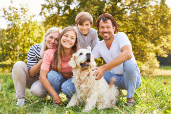 9 Ultimate Dog Breeds For Families Who Want Endless Love