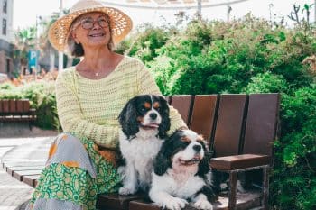 13 Best Dog Breeds For Seniors Looking For A Loving Companion