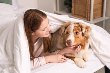 13 Dog Breeds That Are Basically Born To Be Best Friends