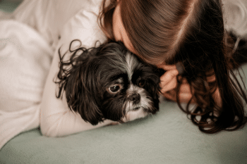 15 Ultimate Dog Breeds That Will Comfort You When You’re Down