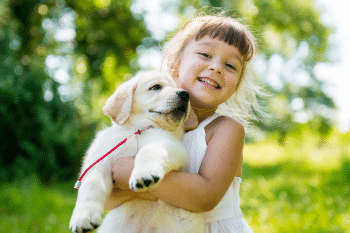 13 Most Patient Dog Breeds That Tolerate Anything (Even Toddlers!)