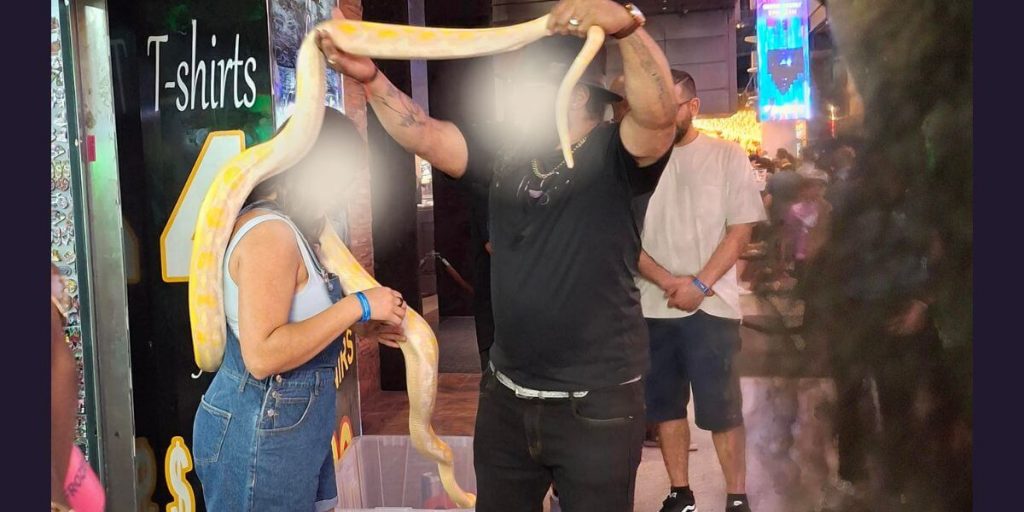 What to Do if You Are Asked to Pose With Snakes in Las Vegas (or Anywhere Else)