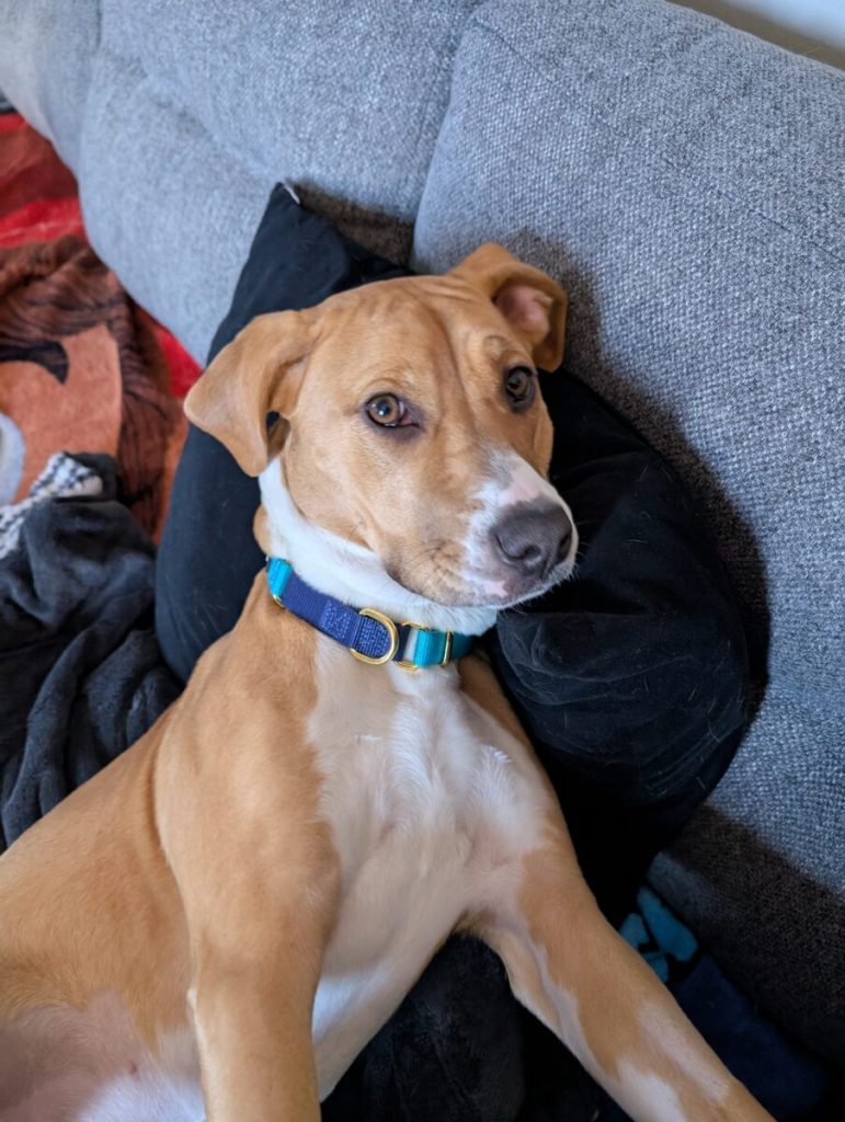 From homeless to healthy, happy and housed: Sage’s story